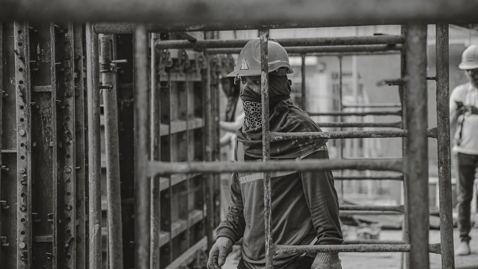 勞動部補助,就業獎勵金,壯世代就業,打工族補助,政府發錢, 五五就業措施懶人包圖解