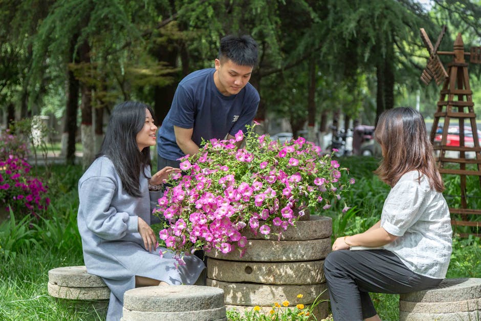 Pikmin Bloom友好度,皮克敏愛心,培養好感度方法