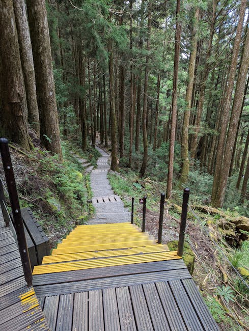 雙泰產業道良心商店