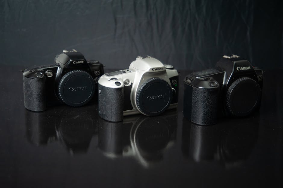 展場中一支老式電話，旁邊說明寫著僅可撥打給藝術家