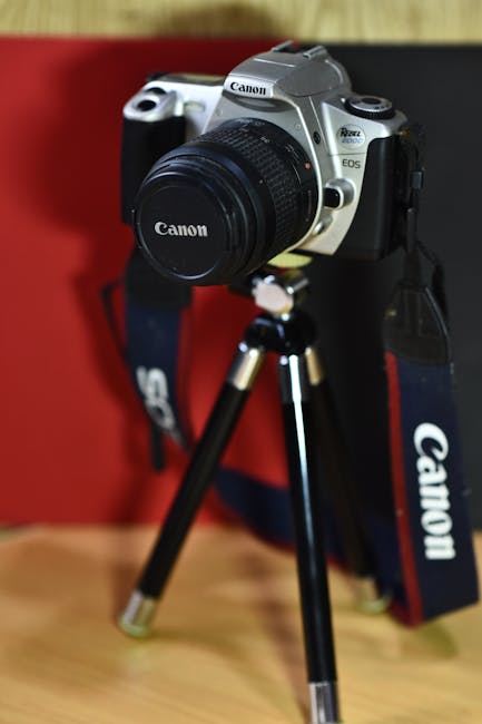 從海盜船高點俯瞰遊樂園與城市，畫面充滿動感