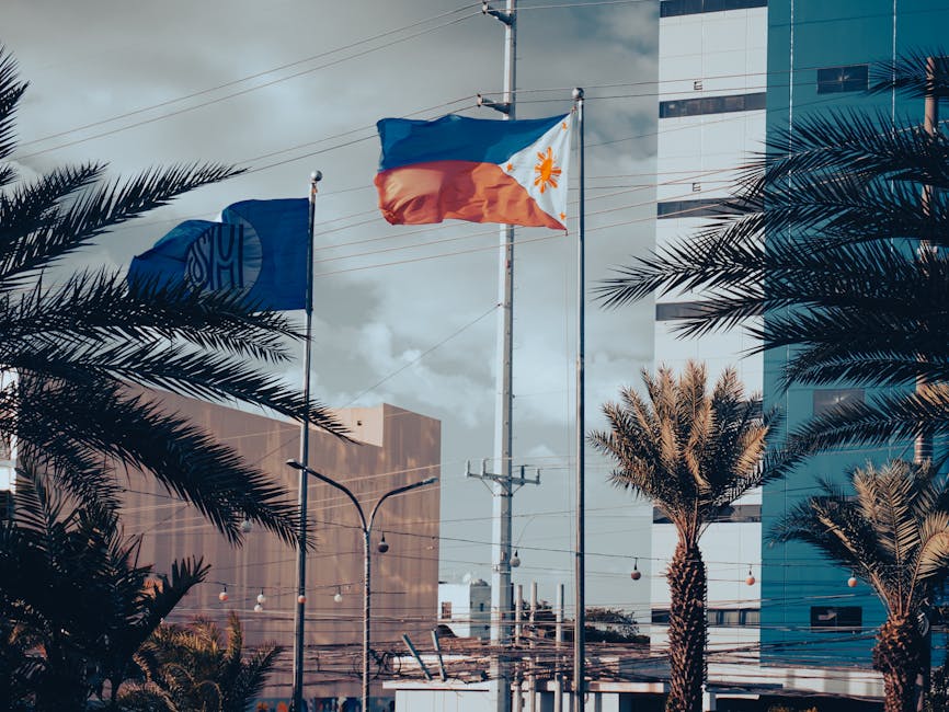 信驊領軍!四大指標衝頂 東協業績飆六成 菲律賓獲利暴增八倍 信驊領軍!四大指標衝頂 東協業績飆六成 菲律賓獲利暴增八倍