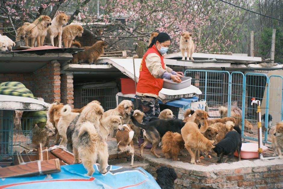 前立委陳歐珀貪汙案重判16年！包庇收賄、私吞善款近千萬