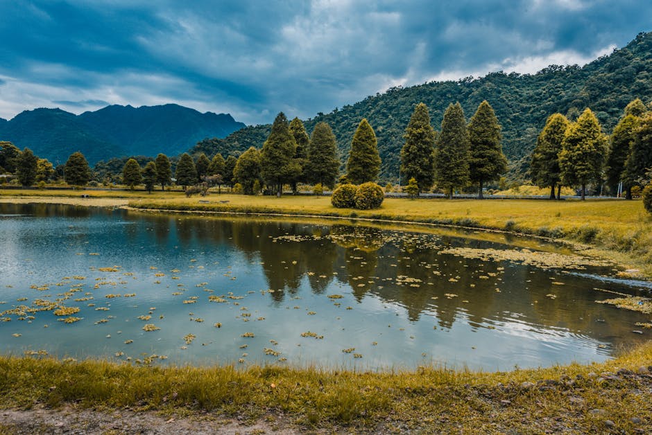 太魯閣晶英酒店布洛灣森域工作坊,志工帶領旅客於山林中進行生態復育工作。