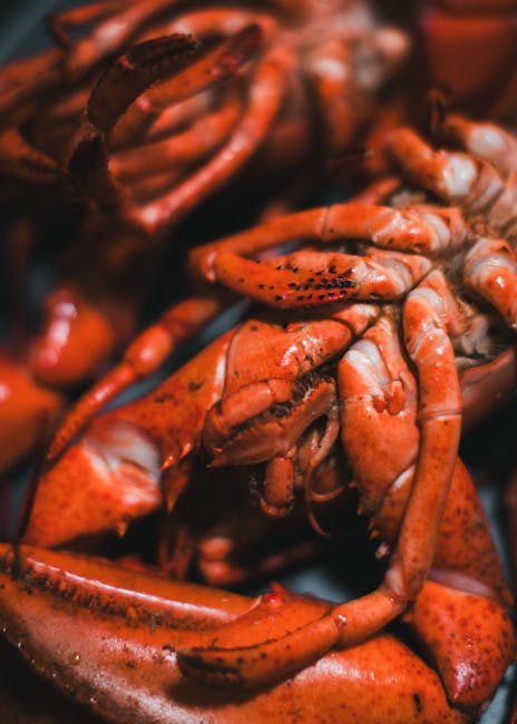 母親節吃到飽優惠,台北六福萬怡酒店,嘉義福容VOCO酒店,免費送龍蝦,嘉義福容VOCO田園西餐廳南歐紅霞焗龍蝦