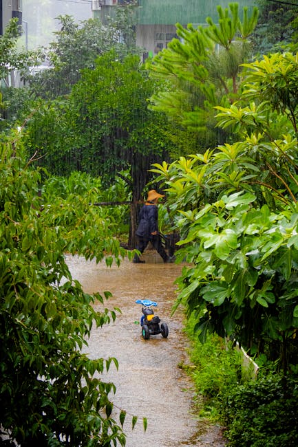 兩波鋒面接力來襲！週末轉濕冷降雨高峰，全台變天時程一次掌握